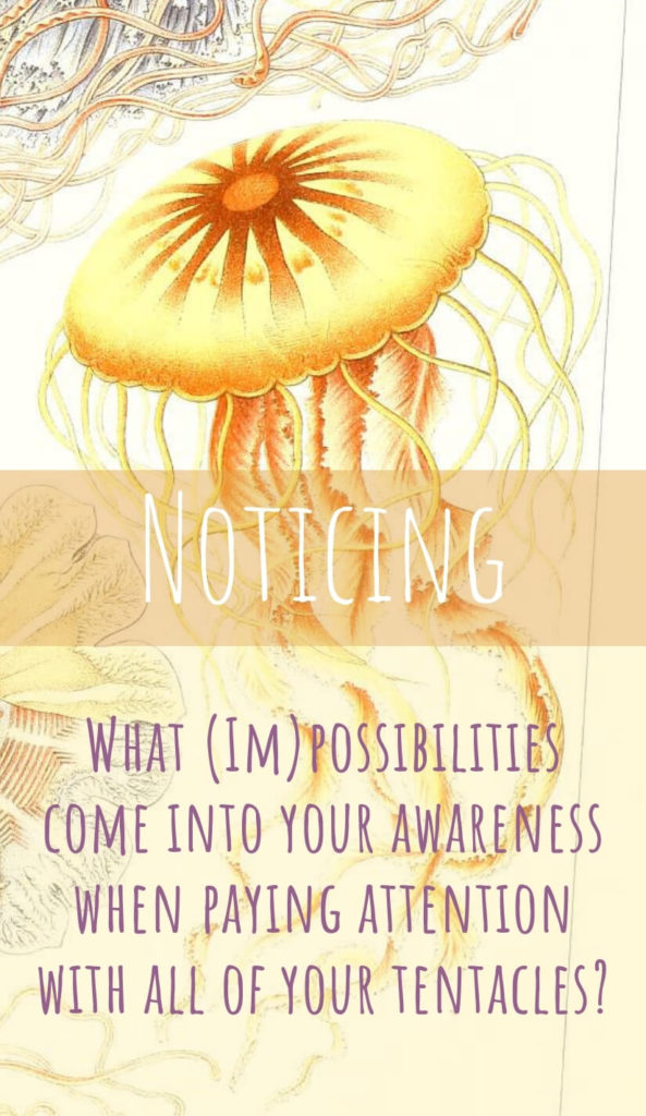 Noticing - What (Im)possibilities come into your awareness when you listen with all your tentacles?