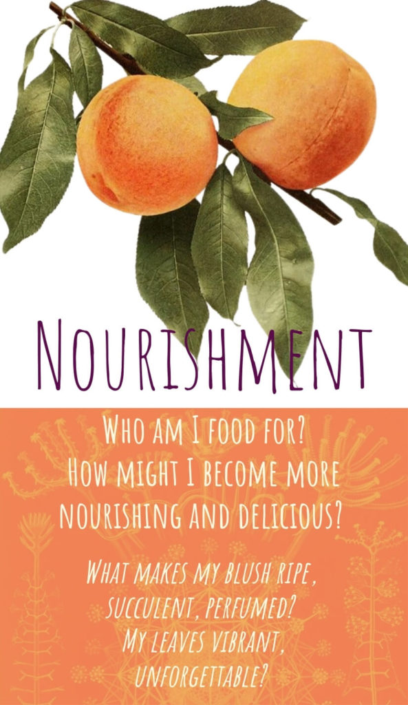 Nourishment - Who am I food for?