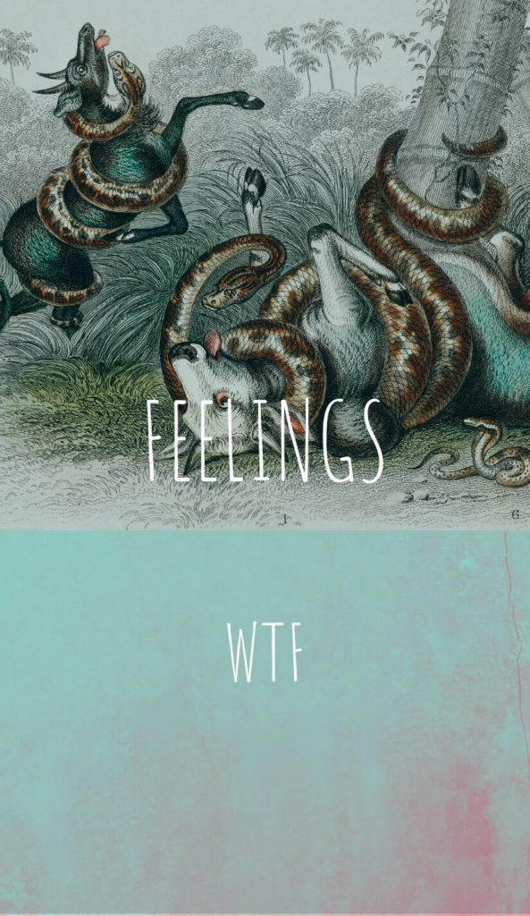 Feelings - WTF