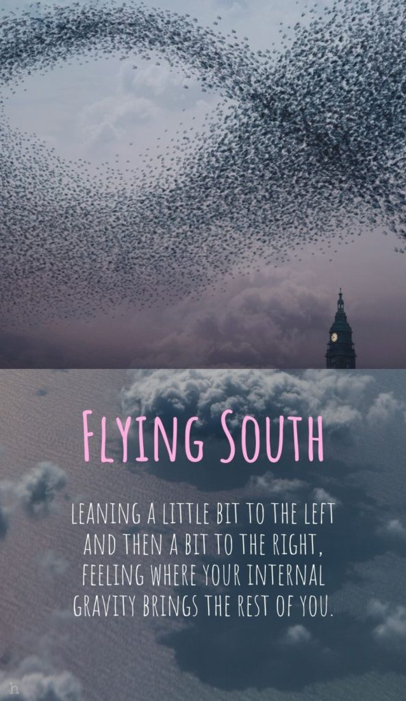 Flying South game card