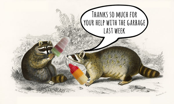 Raccoons sharing popsicles and thanking each other for helping with the garbage