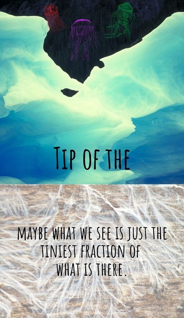 Tip of the game card